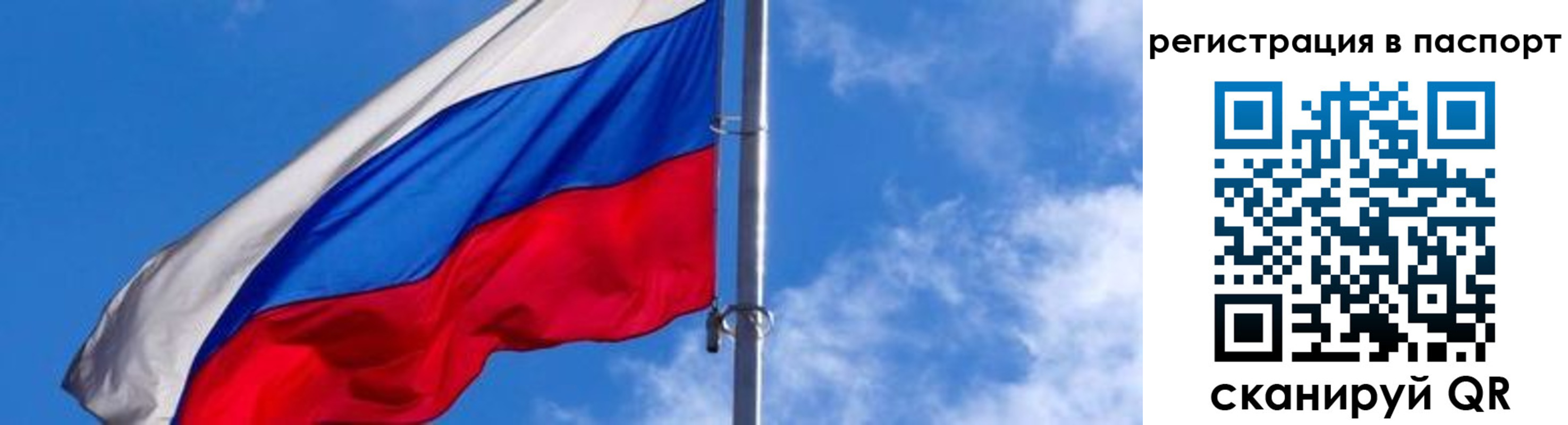 прописка поиск в Самаре